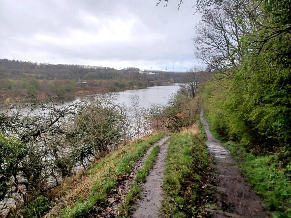 Unique Countryside Cottage Close To Sunderland Houghton-le-Spring Eksteriør bilde